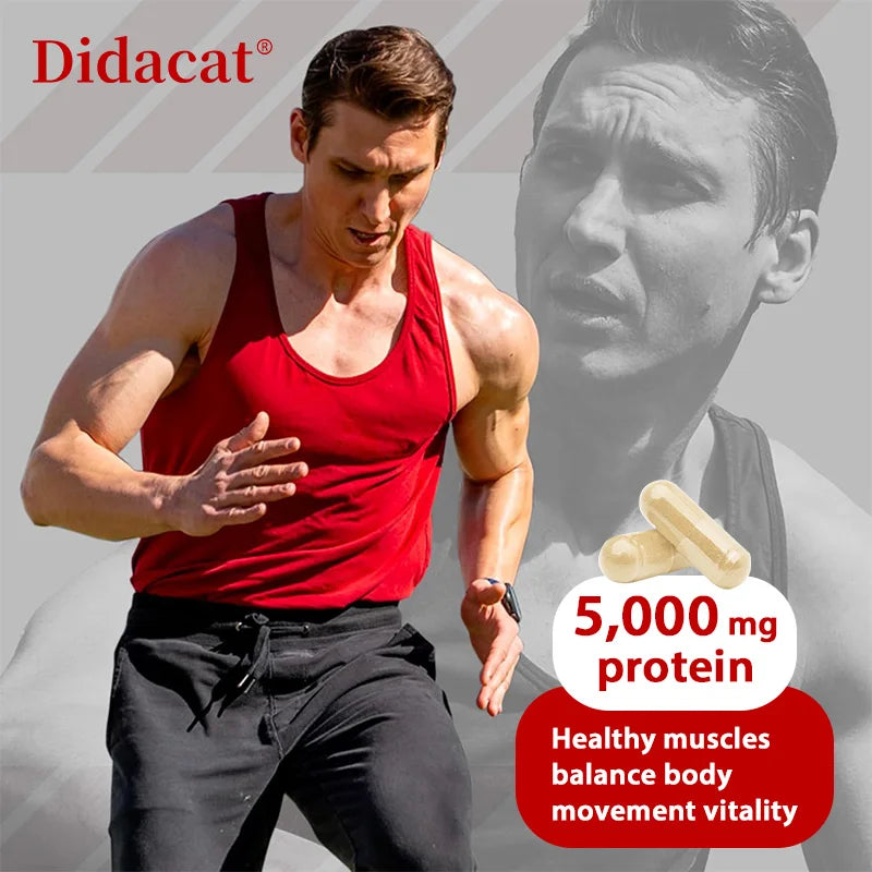 https://ae-pic-a1.aliexpress-media.com/kf/Scf274e3479a34c9c98f9e09d0edd3515V.jpg