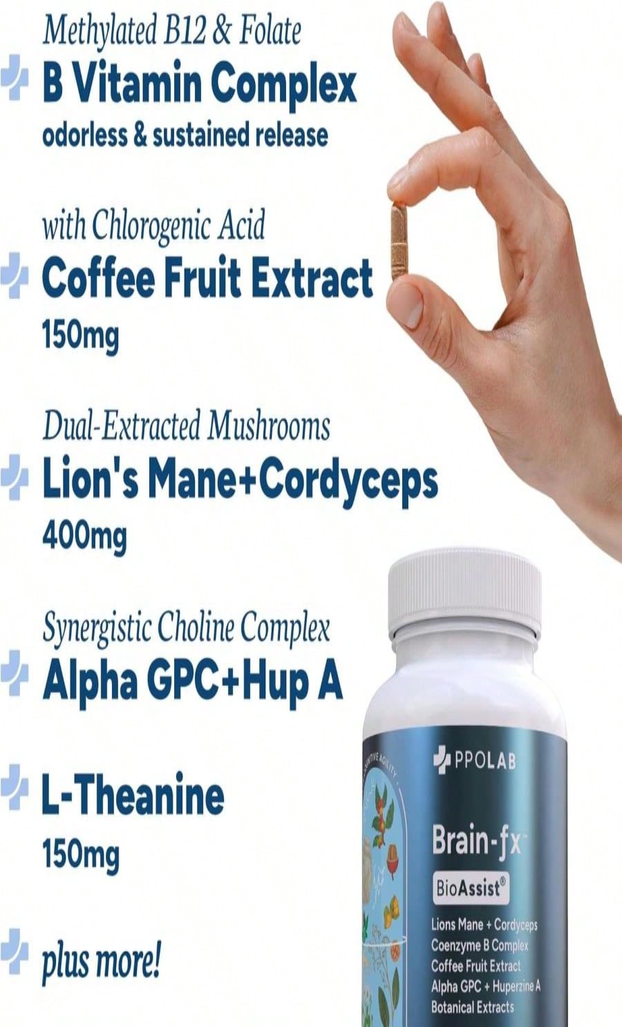 https://img.ltwebstatic.com/v4/j/spmp/2025/09/01/bd/1756716536e14c024f6e88cc39de8997c3c5a7777a.jpg